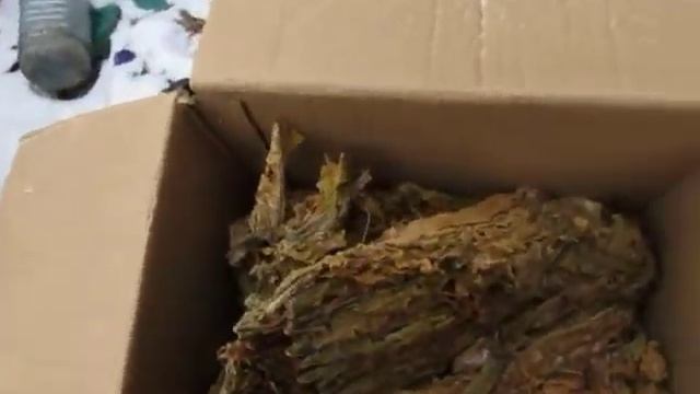 табак самый ленивый способ обработки табака смотреть онлайн