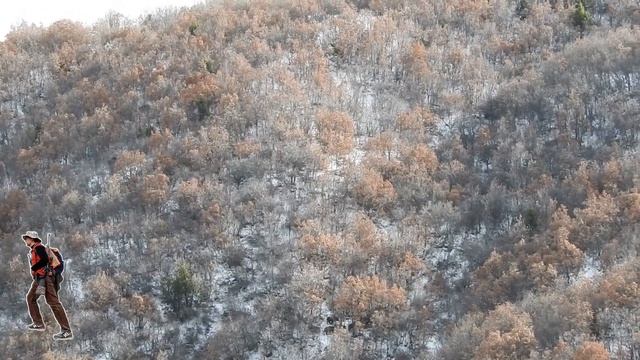 Large Wild Boar Hunt (iri Yaban Domuz Avı) #hunting #wildanimals #yabani