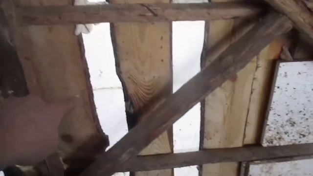 Коровник из пенопласта. смотреть онлайн