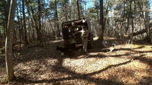 Ну что, СЕЗОН закончился, не успев начаться. КЕДРОВОЙ ШИШКИ БОЛЬШЕ НЕТ.