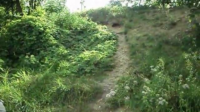 *СТИХИИ в АСТРОЛОГИИ и природа // ELEMENTS in ASTROLOGY and nature* смотреть онлайн