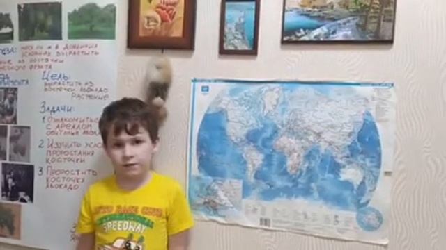Проект "Тропические растения дома", Зюзя Ярослав, 7 лет, МБДОУ д/с 14 смотреть онлайн