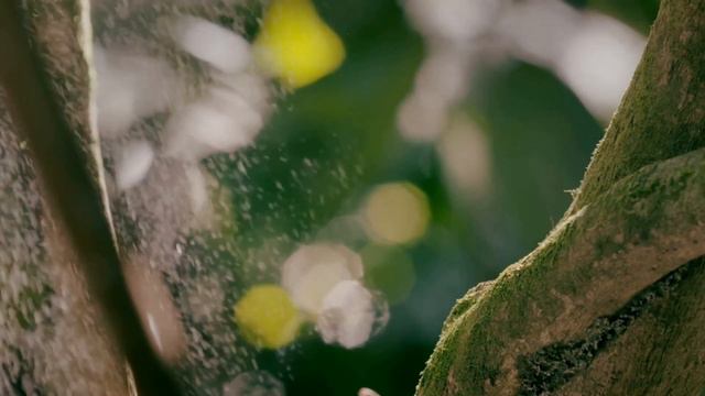 Sied van Riel vs. Standerwick - In a Perfect World [Solarstone Pure Mix] смотреть онлайн