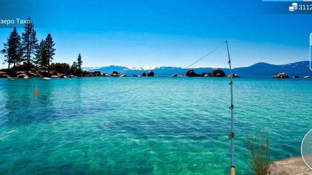 Как поймать рыбу шип| в игре My Fishing World смотреть онлайн