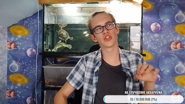 Долгожданный СТРИМ смотреть онлайн