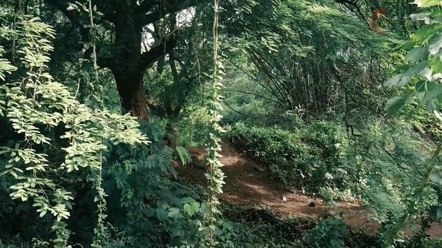 Haro Double Peak 27.5 Comp смотреть онлайн