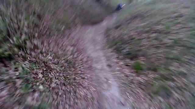 Покатушка по лесу на Ирбис ТТР 125 смотреть онлайн