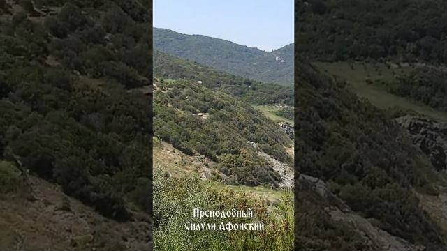 Благодать Святого Духа делает всякого человека похожим на Господа Иисуса Христа еще на земле... смотреть онлайн