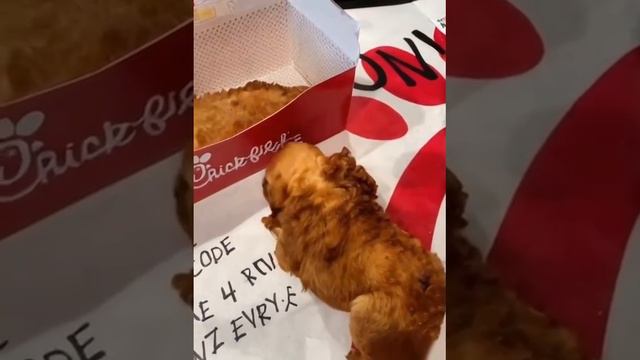 Крылышко ожило смотреть онлайн