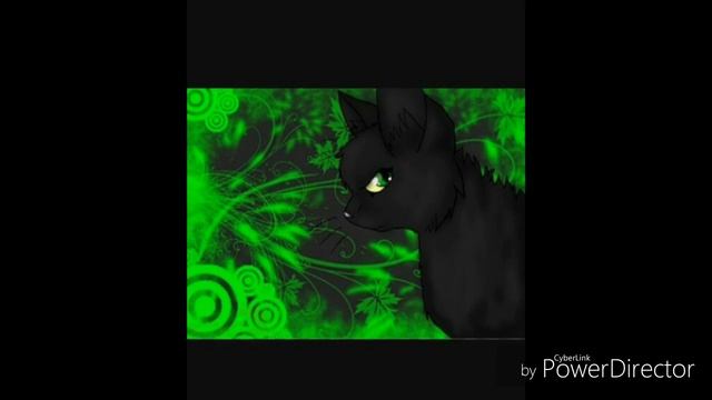 Коты-воители персонажи (1 часть) смотреть онлайн