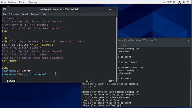 Bash Shell Programming - Here Documents смотреть онлайн