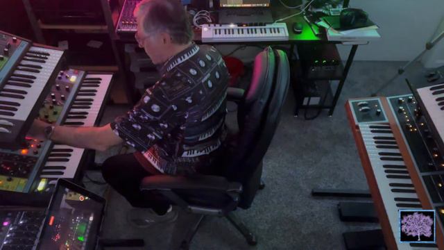 Tempo HWJ w/CA Quadra, Arturia Drumbrute, Yamaha PSR & Moog Subharmonicon, Grandmother & Matriarch смотреть онлайн