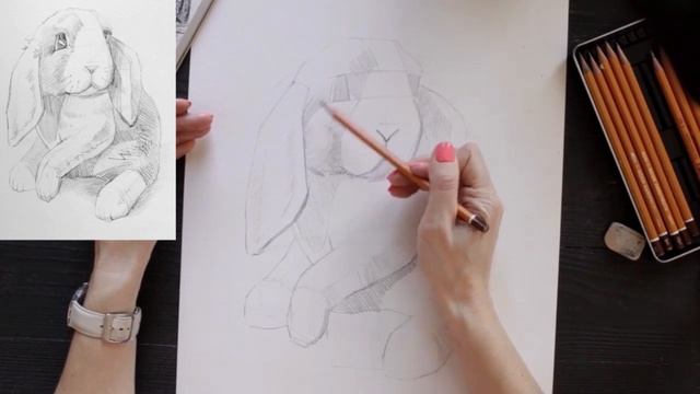 Как нарисовать домашнего кролика графитовыми карандашами смотреть онлайн