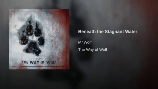 Mr.Wolf - Beneath the Stagnant Water