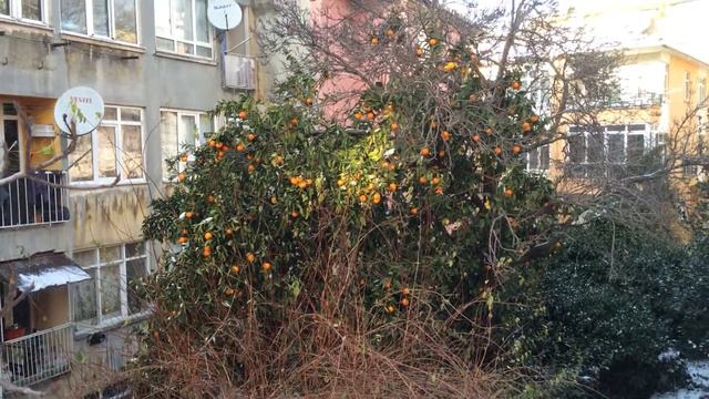 Стамбул, Юскюдар, январь 2015 смотреть онлайн