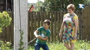 Кто должен вывозить ветки после опиловки деревьев?