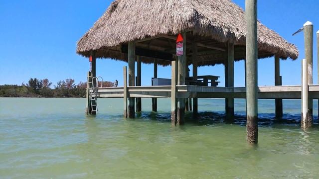 Saturn SD380 review & solo island camping at Anclote Key смотреть онлайн