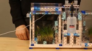 Академия Наураши "Умная теплица"