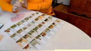 ЧТО ХОРОШЕГО ВАС ЖДЕТ В ЛИЧНОЙ ЖИЗНИ В БЛИЖАЙШЕМ БУДУЩЕМ. КОЛЕНА ТАРО