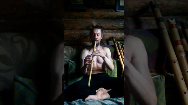 Сякухати cредняя. Артикул 016 смотреть онлайн