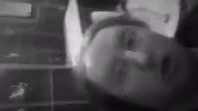 dont touch my monkey смотреть онлайн