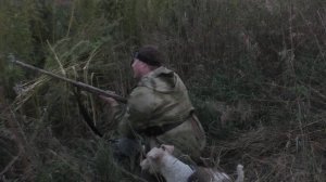 Охота на утку в выходные (сентябрь). А говорили утки нет.  A duck on the weekend.