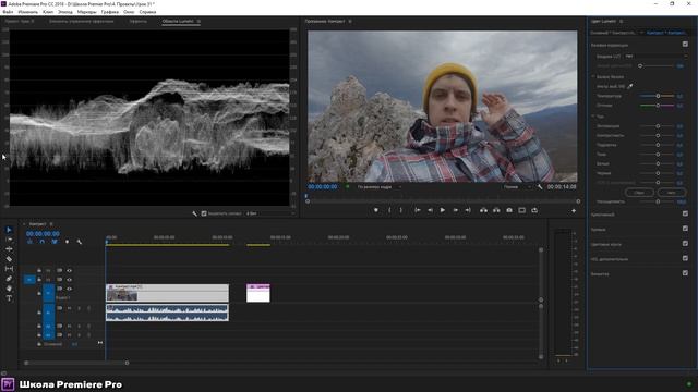 Основы цветокоррекции в Adobe Premiere Pro. Яркость и Контраст. Waveform (Luma) смотреть онлайн
