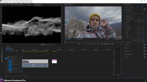 Основы цветокоррекции в Adobe Premiere Pro. Яркость и Контраст. Waveform (Luma)