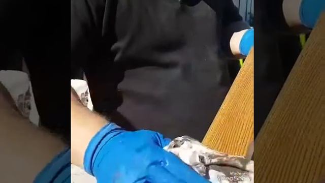 Нанесение масла Veres ЛКМ Верес смотреть онлайн