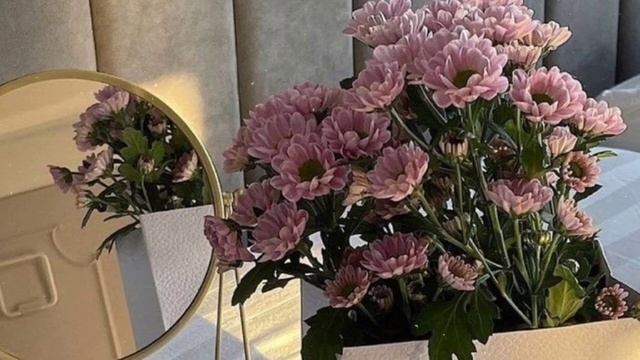 ИСТОРИЯ ПРАЗДНИКА ВОСЬМОГО МАРТА ?✨|goblinstetic ?✨ #goblincore #fairycore #8march #8марта