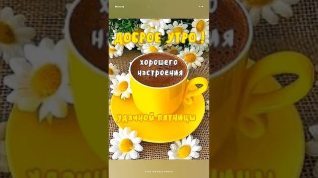 Пятый день недели 19.01.2024..... смотреть онлайн