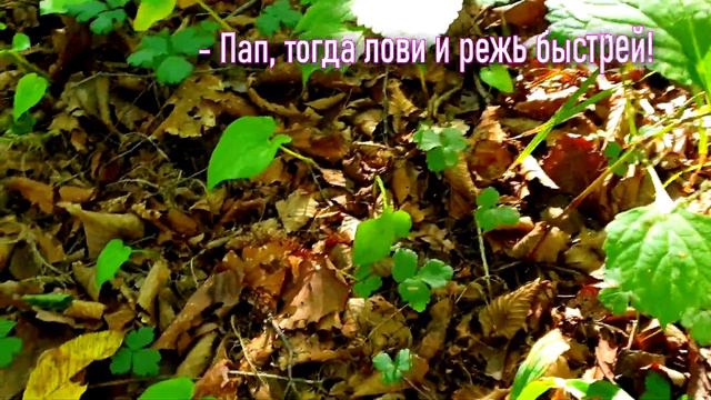Ярослава собирает грибы - Приключения Малышки (Baby Adventures) смотреть онлайн