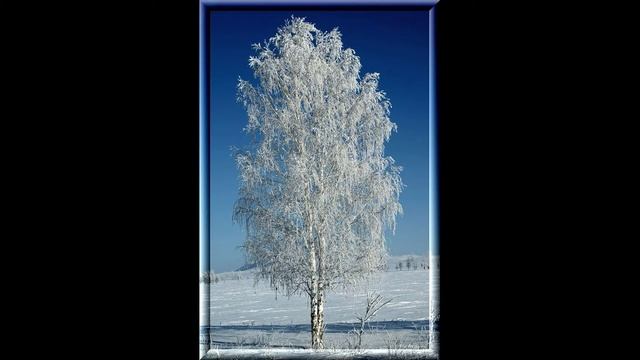 Читаем стихи Афанасия Фета смотреть онлайн