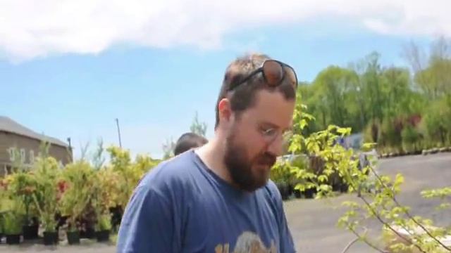 Selecting a Tree for Bonsai смотреть онлайн