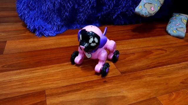 ЗАВЕЛИ Интерактивного щенка ЧИП WowWee. Реакция нашей собаки Джессики на нового питомца. смотреть онлайн