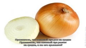 «Сонник зеленый Лук приснился, к чему снится во сне зеленый Лук»