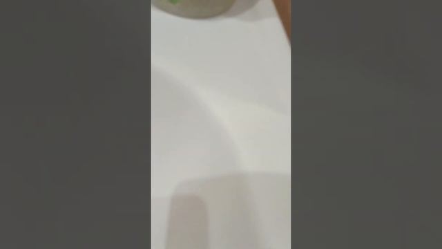 распаковка джунгли и ко макси номер три, попался гигантский Шильбовый сом. смотреть онлайн