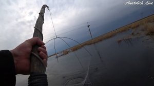 Карась ПРЁТ на ПАУК (подъёмник). Апрельское видео, Рыбалка 2020. Ловля карася на паук! ENG SUB