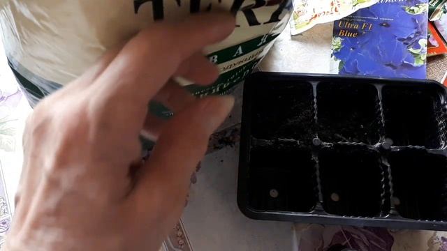 Вот и у меня начался посев. И первая петуния. смотреть онлайн