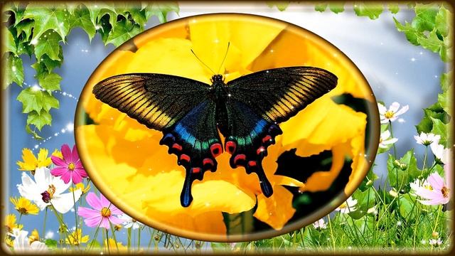 Стиль Фотогимнастика - 4 /ProShowProducer