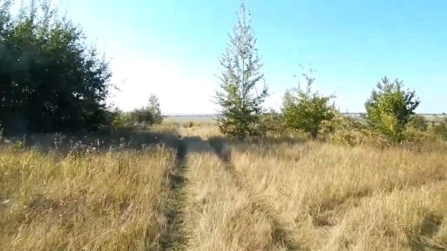 ?Как и сколько я заработал на курах!Вспахал огород и поговорил с трактористом о деревенской жизни! смотреть онлайн