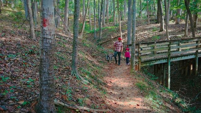 Discover Franklin County, Georgia! смотреть онлайн