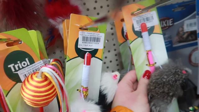 VLOG: Первый влог Маруси и подарки зверодетям!