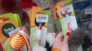 VLOG: Первый влог Маруси и подарки зверодетям!