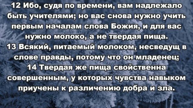 2.04.2023г Вам надлежало быть учителями,судя по времени #духовноеразвитие#духовнаяпища#воляОтца смотреть онлайн