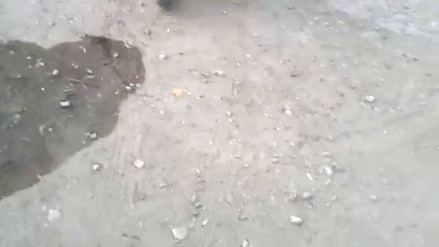 Зид-50 пилот с двигателем от альфы. смотреть онлайн