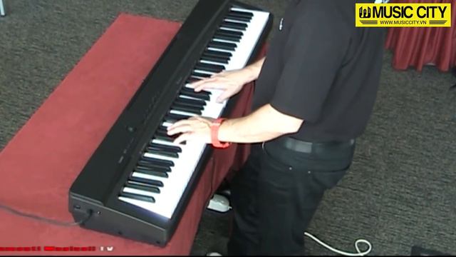 Demo Đàn Piano Casio PX-135 - Music City смотреть онлайн