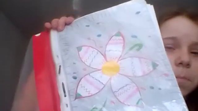 1 Видео. Знакомство. ( Простите за звук и камеру). смотреть онлайн