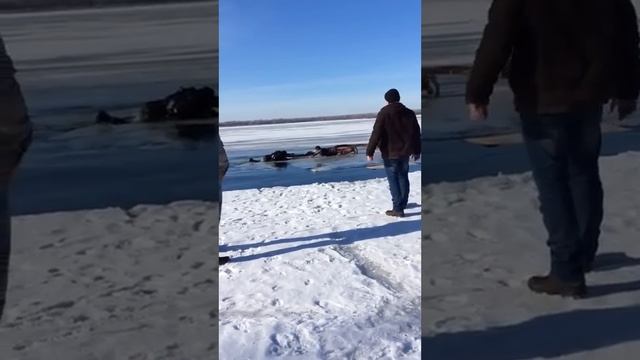 Спасение провалившегося под лед на реке в Самаре смотреть онлайн
