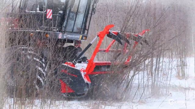 Немецкий мульчер PRINOTH M550m на УЭС-280: расчистка заброшенных сельскохозяйственных полей смотреть онлайн